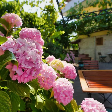 Palorto Traditional 4* Gjirokastër