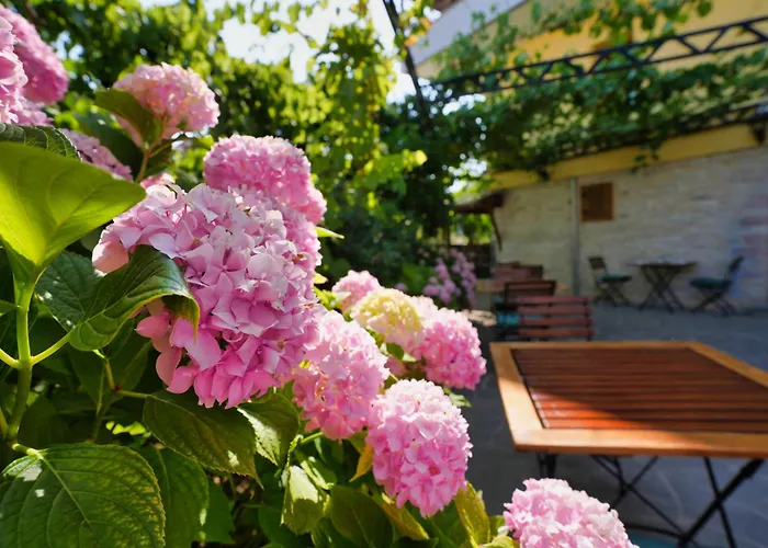 Palorto Traditional 4* Gjirokastër