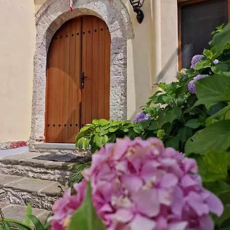 Hotel Palorto Traditional 4*