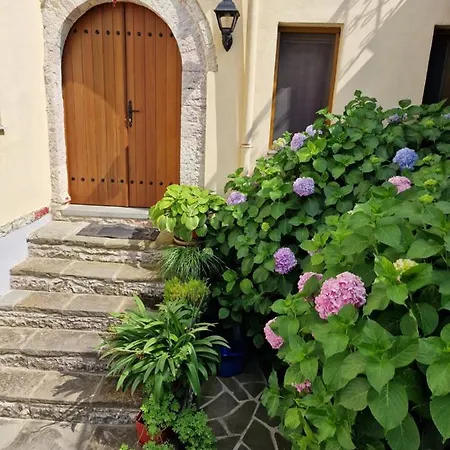 Palorto Traditional